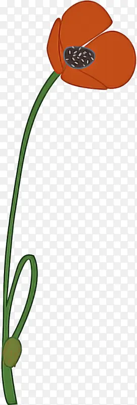 ��ɫ ֲ�� Ҷ��-������