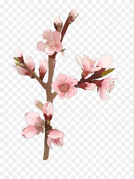 �� ���� ��ɫ-������