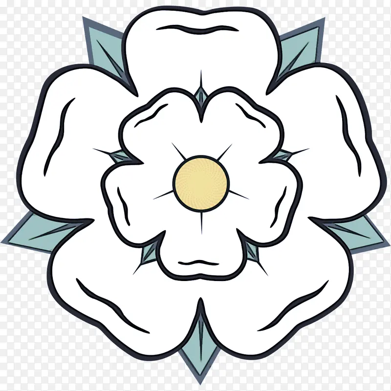 ��ɫ ���� ����-������