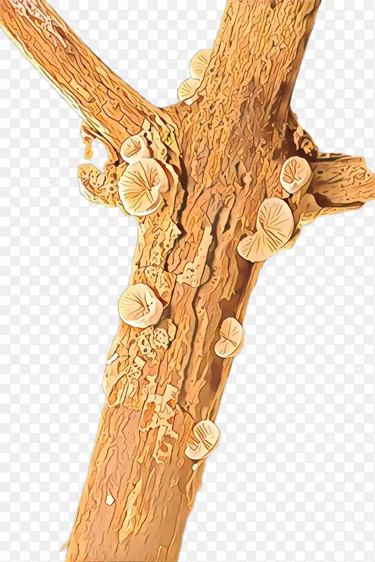 ��֦ �� ľͷ-������