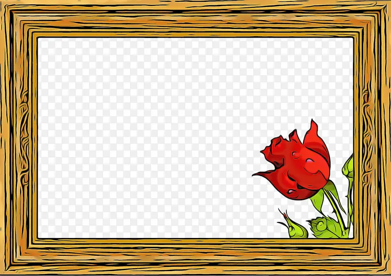 ��� ��ɫ ������-������