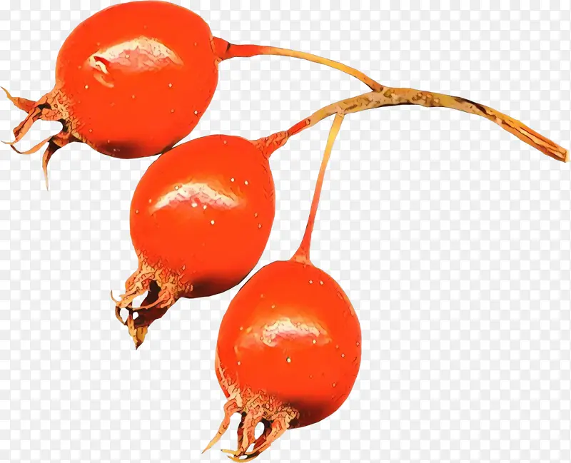 õ��� ֲ�� ˮ��-������