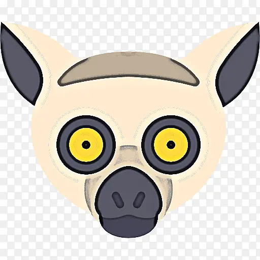 ��ͨ ���� ͷ-������