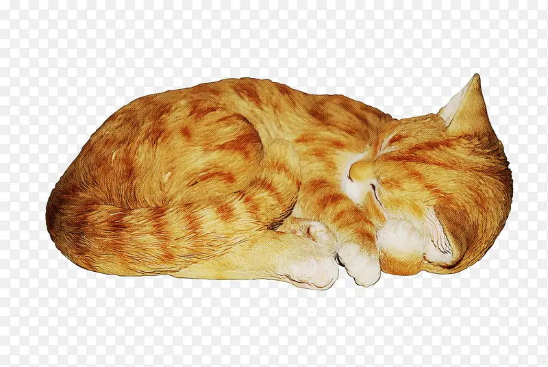 ʳ�� è С¹-������