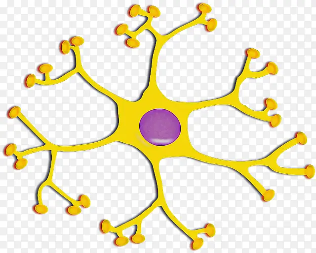 ��ɫ ���� �Գ�-������