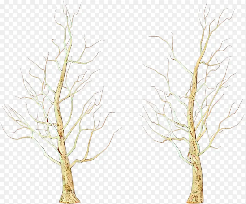 ��֦ ��ɫ ��ľ-������