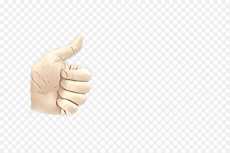 ��ָ �� ����-������