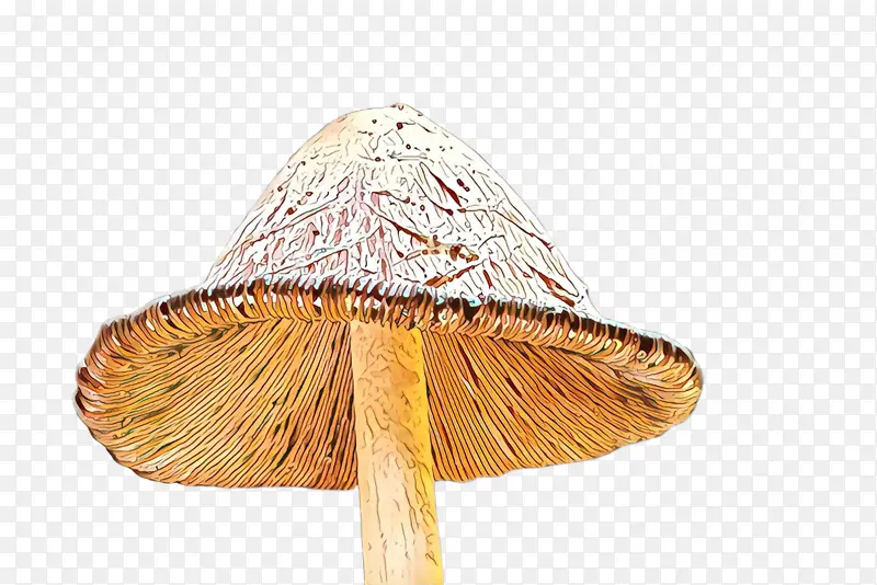 ʳƷ ����ʳƷ ����-������