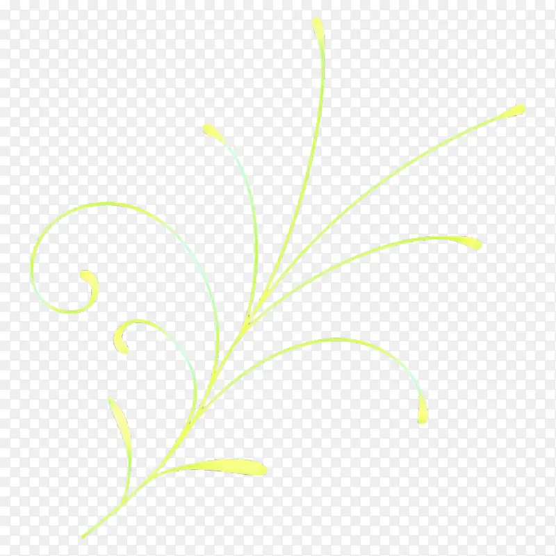 Ҷ ֲ�� ��-������