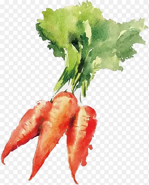 ʳƷ Ҷ �߲�-������