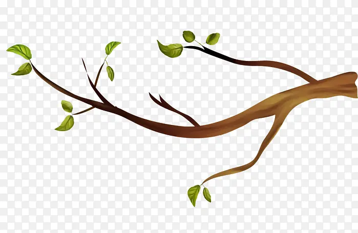 ��֦ Ҷ�� ֲ��-������