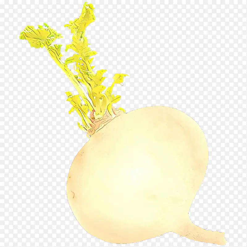 �ܲ� �����߲� �߲�-������