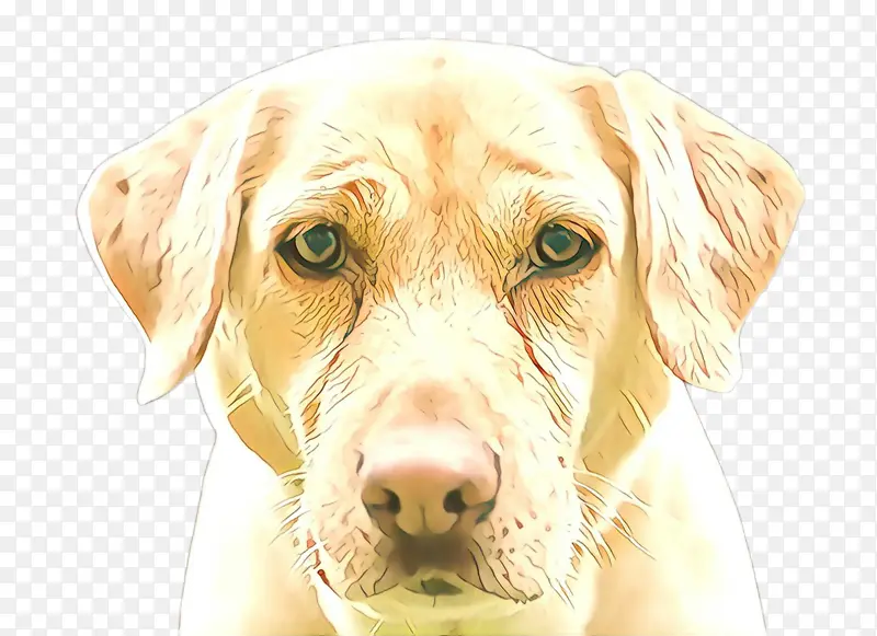 �� ���� ����������Ȯ-������