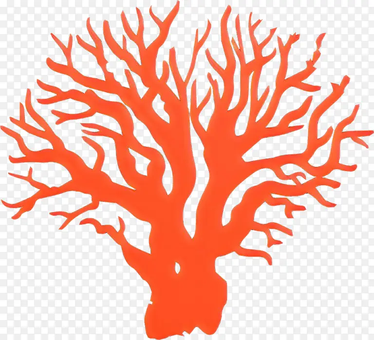 ��ɫ ɺ��ɫ ˮ���װ��-������