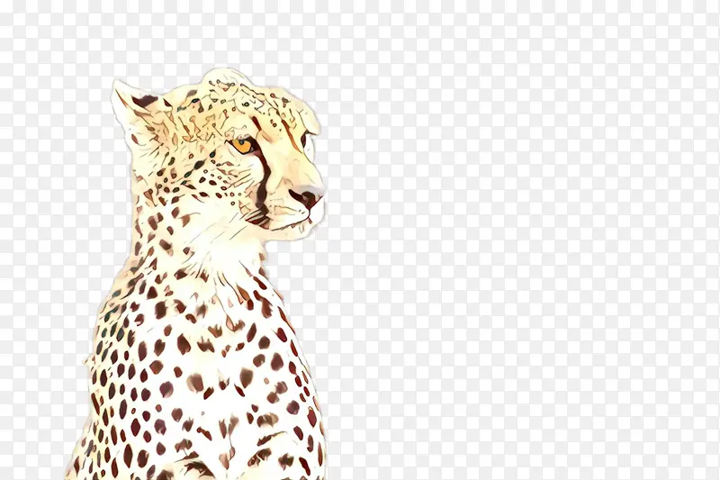 �Ա� Ұ������ ͷ-������