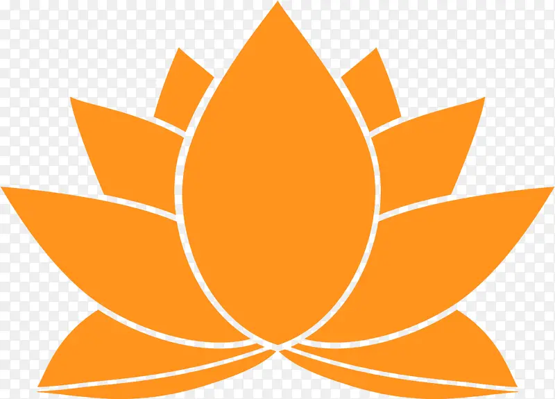 ���� �� ��ɫ-������