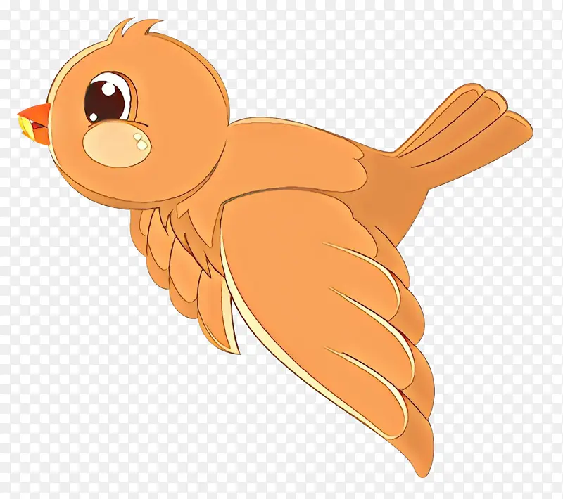 ��ͨ ��ɫ ���-������