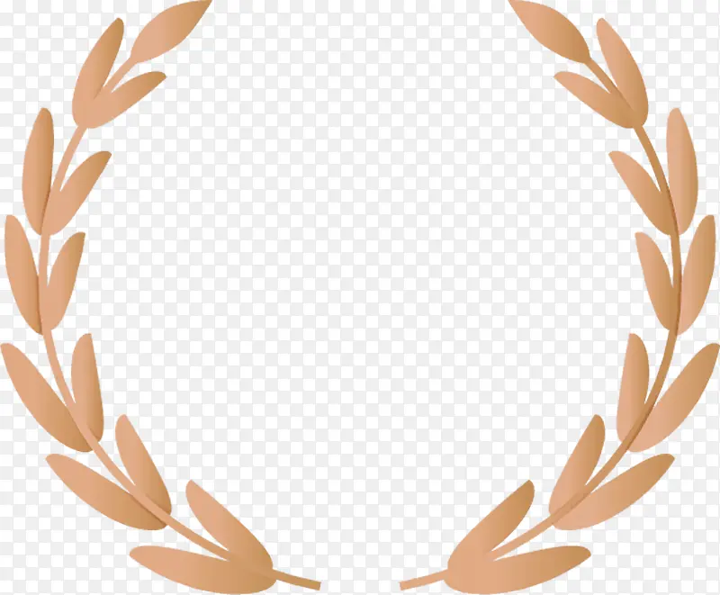 Ҷ �ݿ� ֲ��-������