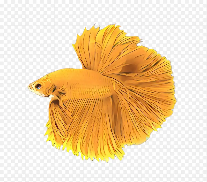 ��ɫ ��ɫ-������