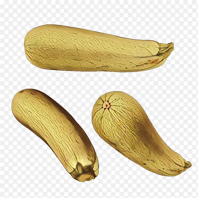 �߲� �Ϲ� ֲ��-������