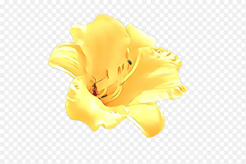 ��ɫ ��ɫ ����-������