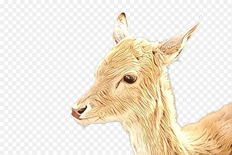 ��ɫ ��ɫ ����-������