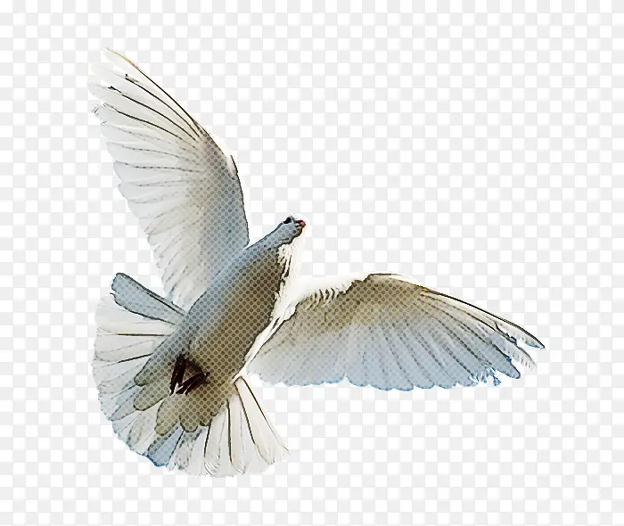 �� ��� ��ë-������