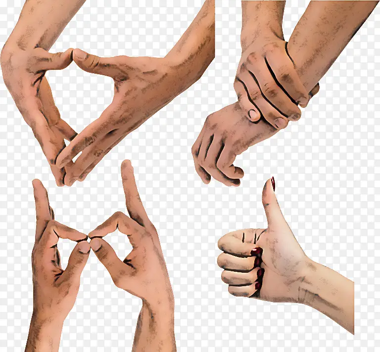 �� Ƥ�� ��ָ-������