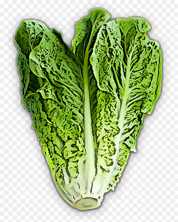 Ҷ�� ���Ĳ� �߲�-������