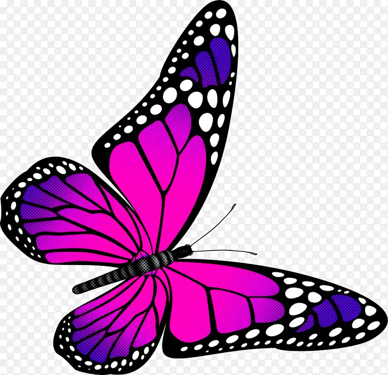 ���� �ɶ�ͺ��� ����-������