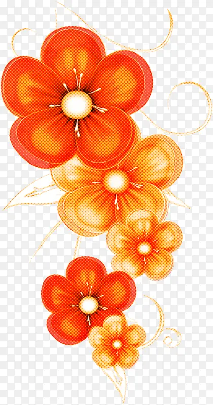 ��ɫ �� ����-������