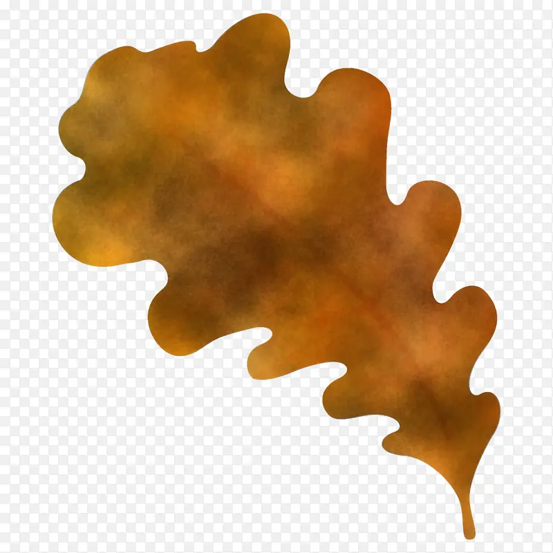 Ҷ�� �� ֲ��-������