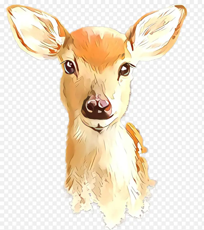 ¹ ���� ����-������