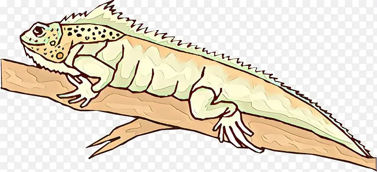 ���ж��� �������� ���-������