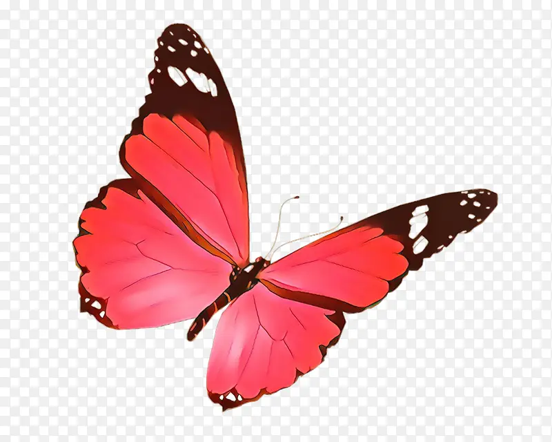 �ɶ�ͺ��� ���� ����-������