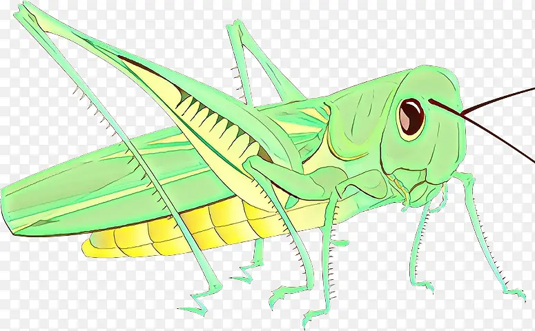 ���� ���� ä����-������