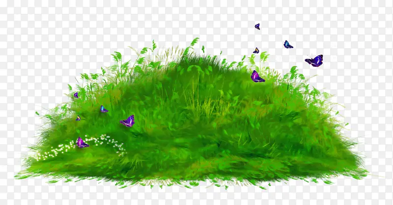 ��ɫ ֲ�� ��-������