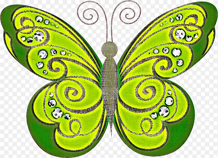 ���� ��ɫ ����-������