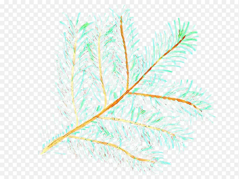 ��ë Ҷ�� ��-������