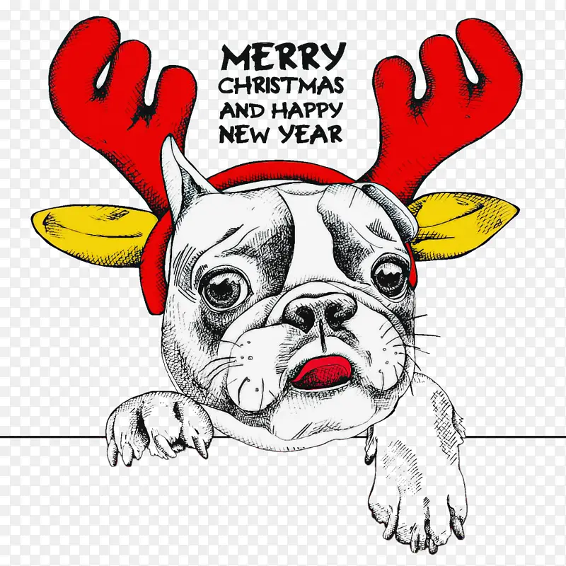 �� ���� ������ţȮ-������