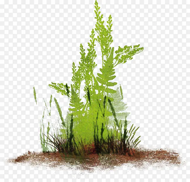 �� ֲ�� ˮ���װ��-������