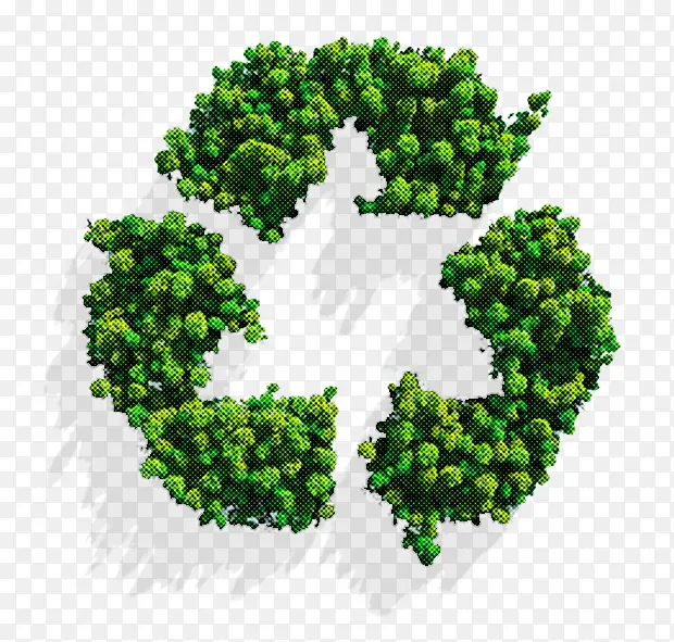 ��ɫ �� ֲ��-������