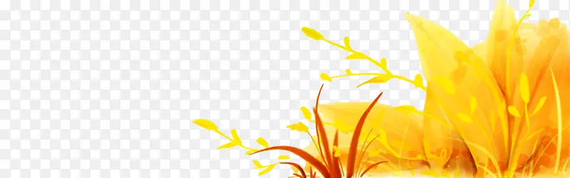 ��ɫ ��ɫ ֲ��-������