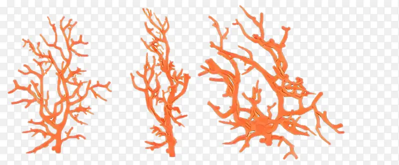 ���� ��֦ ��-������