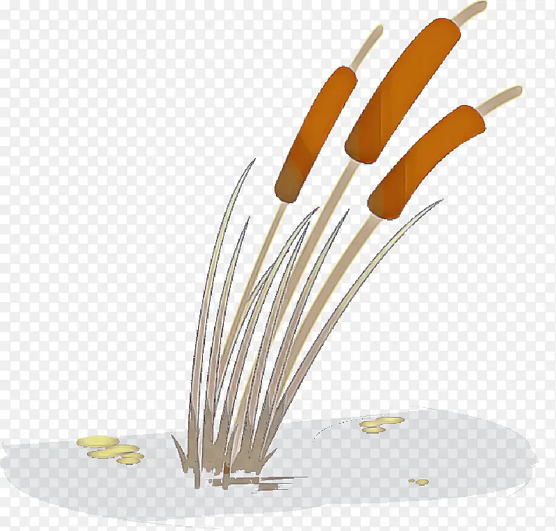 ��ɫ ֲ��-������