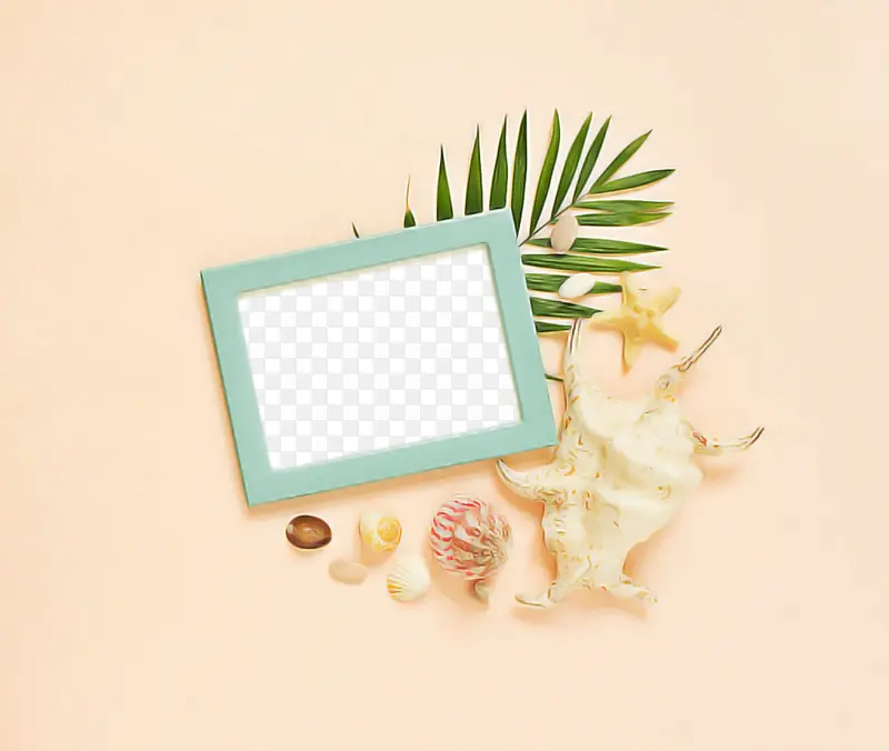 ��ɫ ���� ������-������