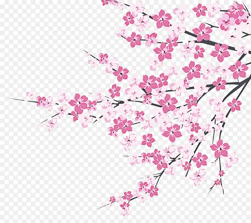 �� ��ɫ ����-������