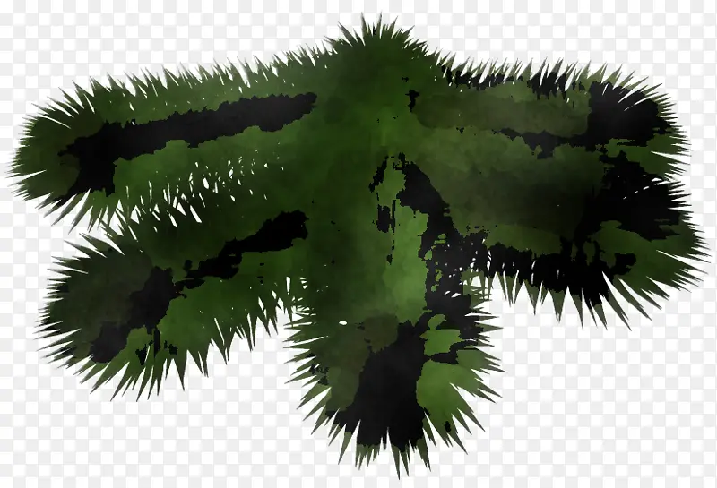 ֲ�� Ҷ�� ��-������