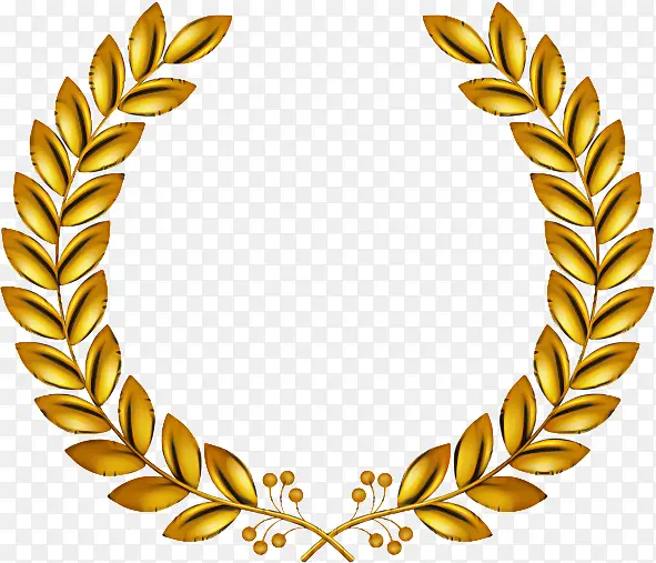 ��ɫ Ҷ�� �ݿ�-������