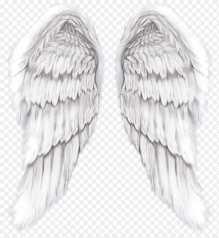 ��ɫ�����ë��ʹ����-������